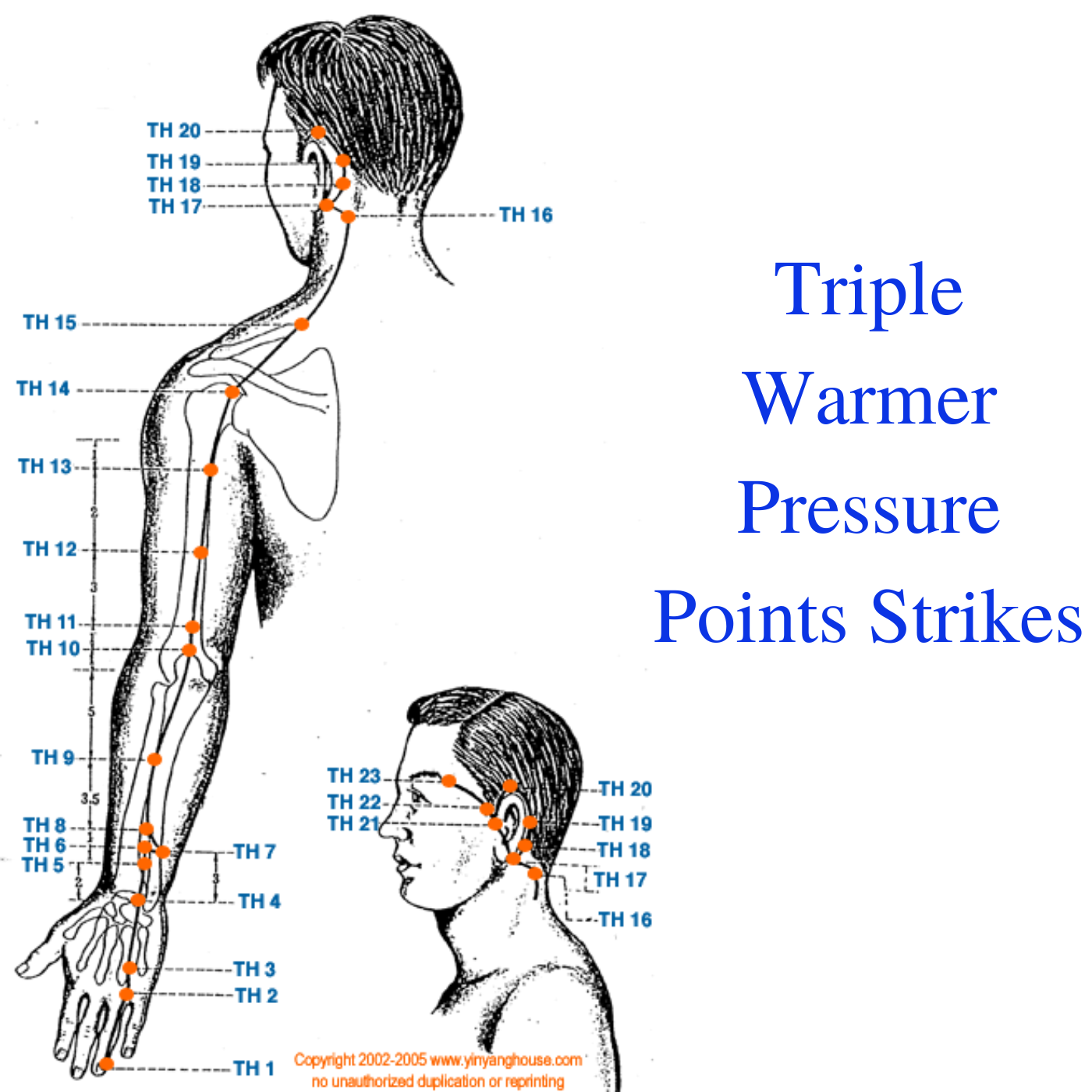 Triple Warmer Pressure Points Strikes