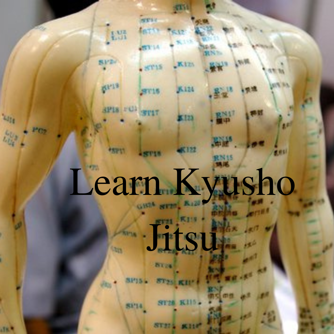 Learn Kyusho Jitsu