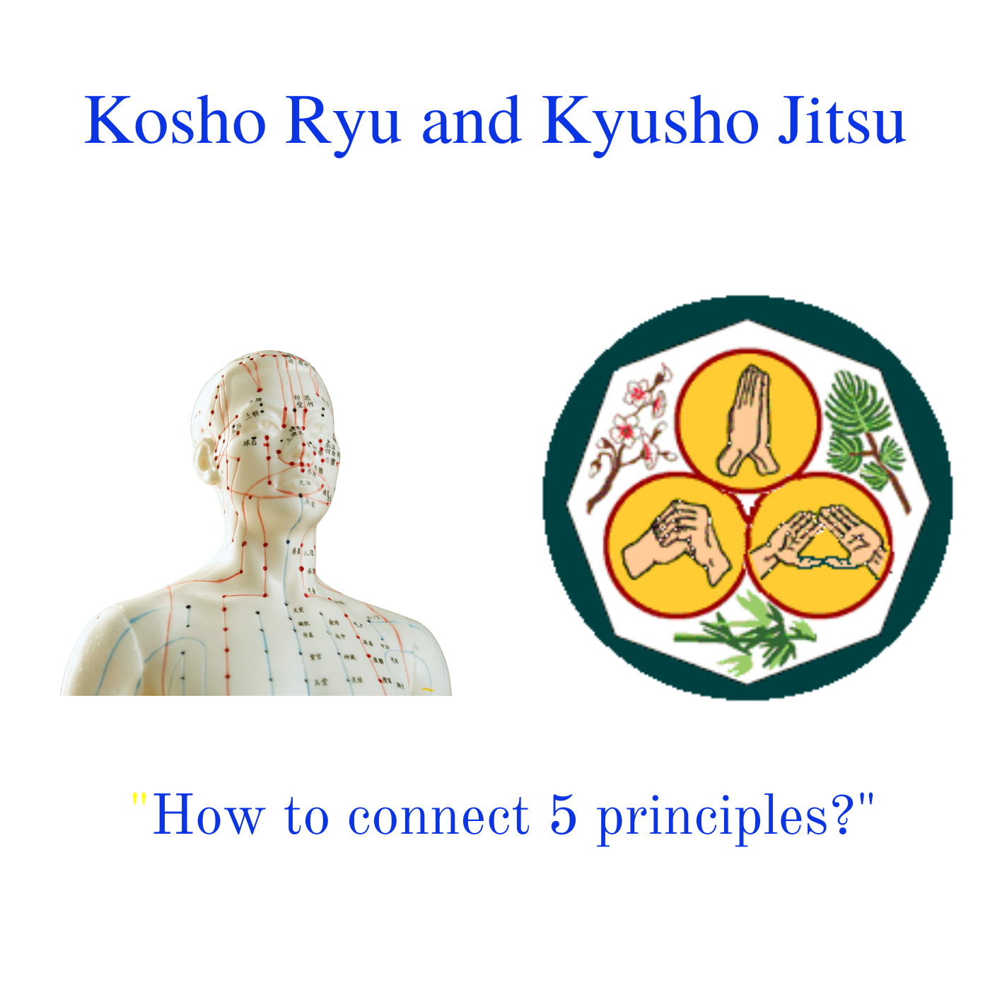 Kosho Ryu and Kyusho Jitsu
