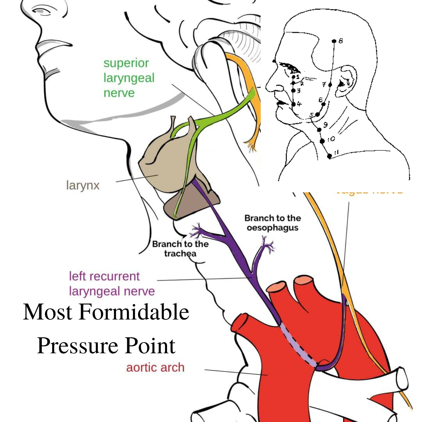 Most Formidable Pressure Point