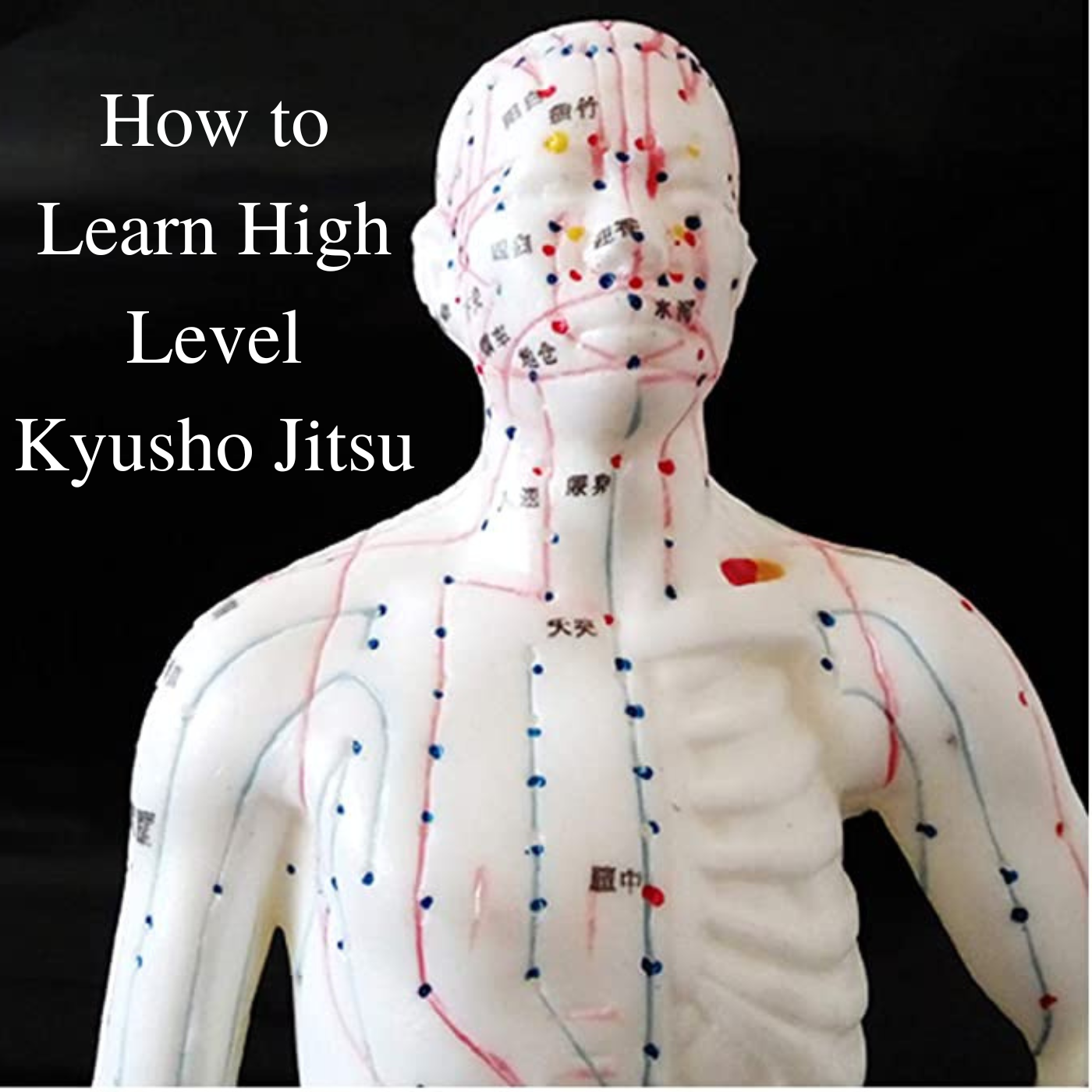 How to Learn High Level Kyusho Jitsu